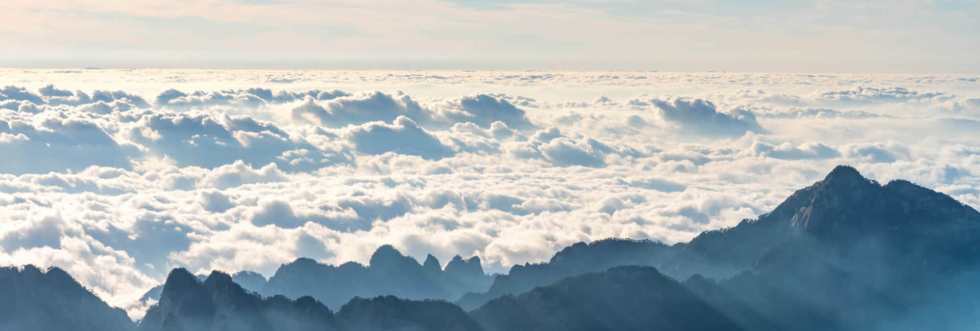 3377体育(中国)简介